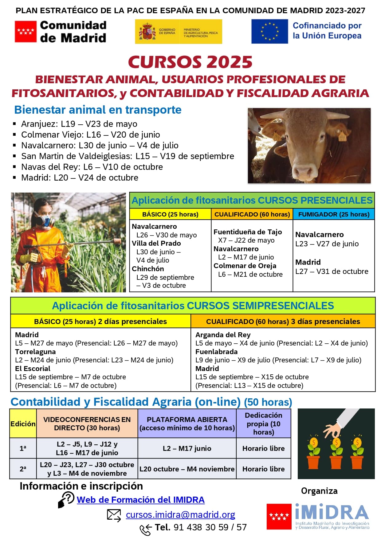 Cursos BAT fitos y contabilidad 2025